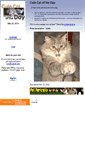 Mobile Screenshot of cutecat.com