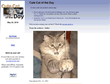 Tablet Screenshot of cutecat.com